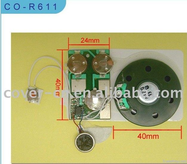 sound or music recordable module