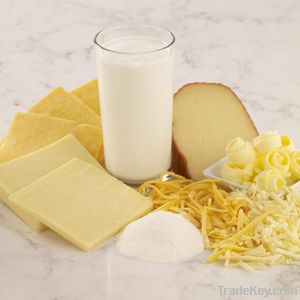 Cheese - Gouda