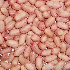 Raw Peanuts