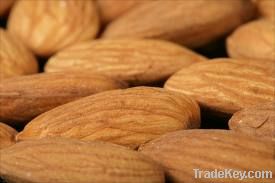 Raw Almond