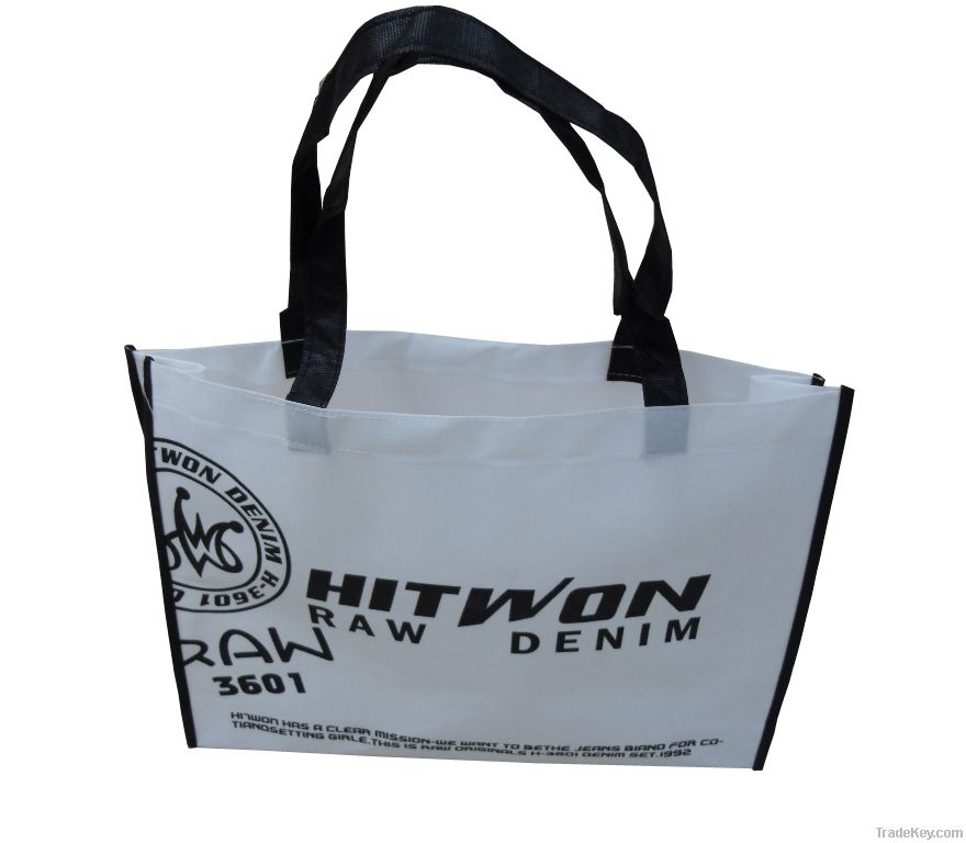 shopping  bag