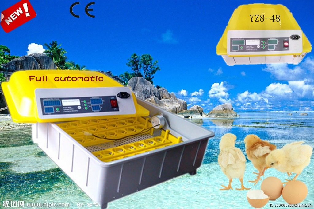 2013 hot sale automatic mini  Egg Incubator YZ8-48(CE Approved )