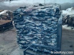 cow hides, calf skins, buffalo hides, cow head skins, cow trimmings,