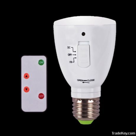 12V DC Remote LED Bulb