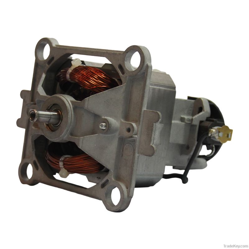 Universal ac motor