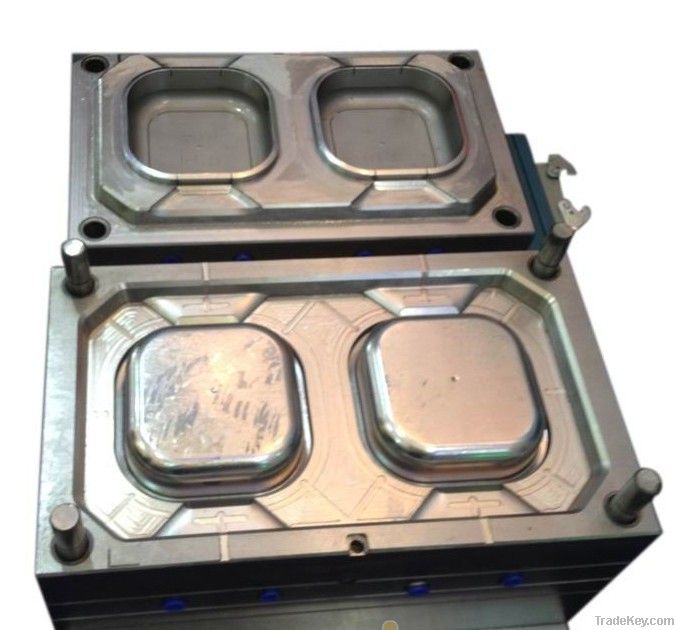 plastic injection mould