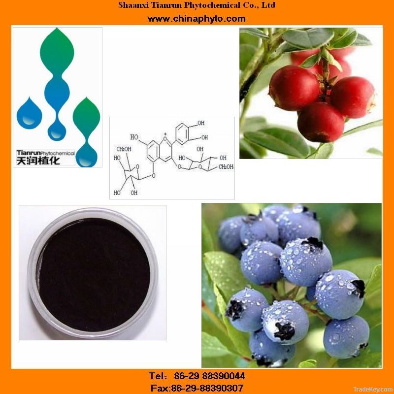 Bilberry extract