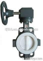 PTFE butterfly valve