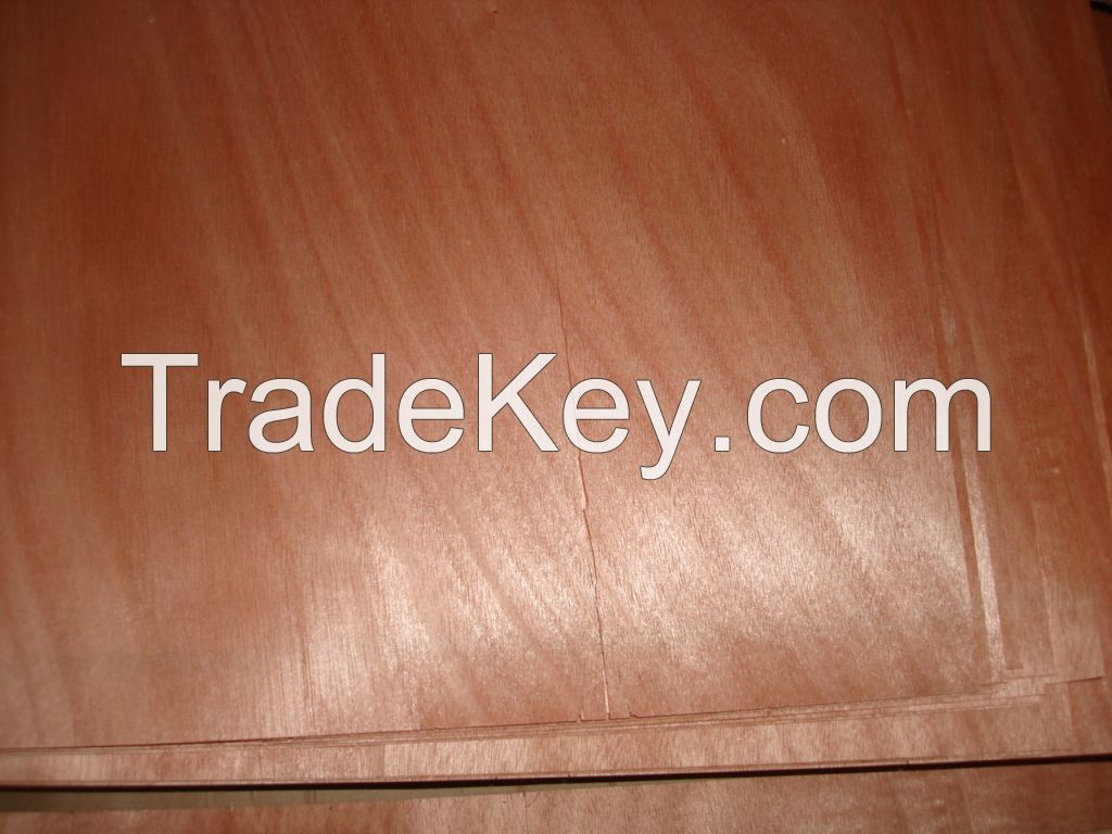 okoume Veneer