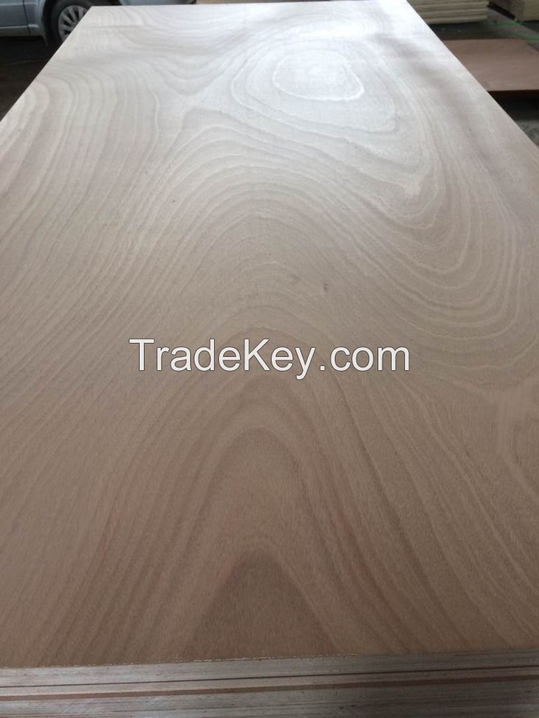 Poplar plywood