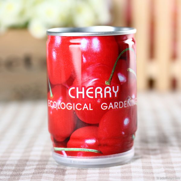 home garden green house with cherry