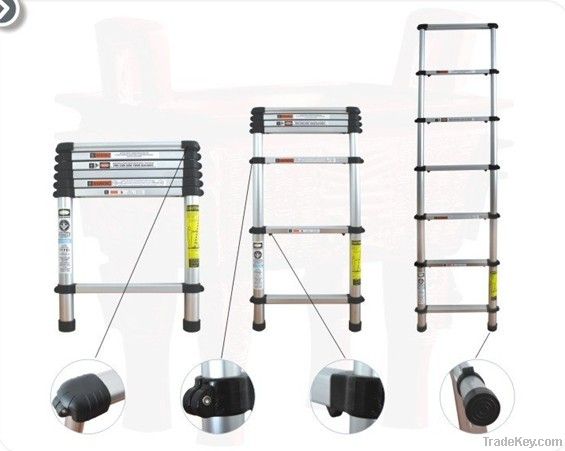 telescopic ladder