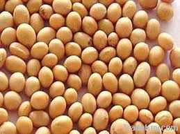 soybean meal 43%/46% protein min