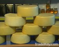 cheddar cheese