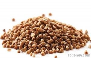 Buckwheat