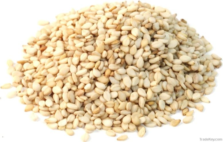 Sesame Seeds