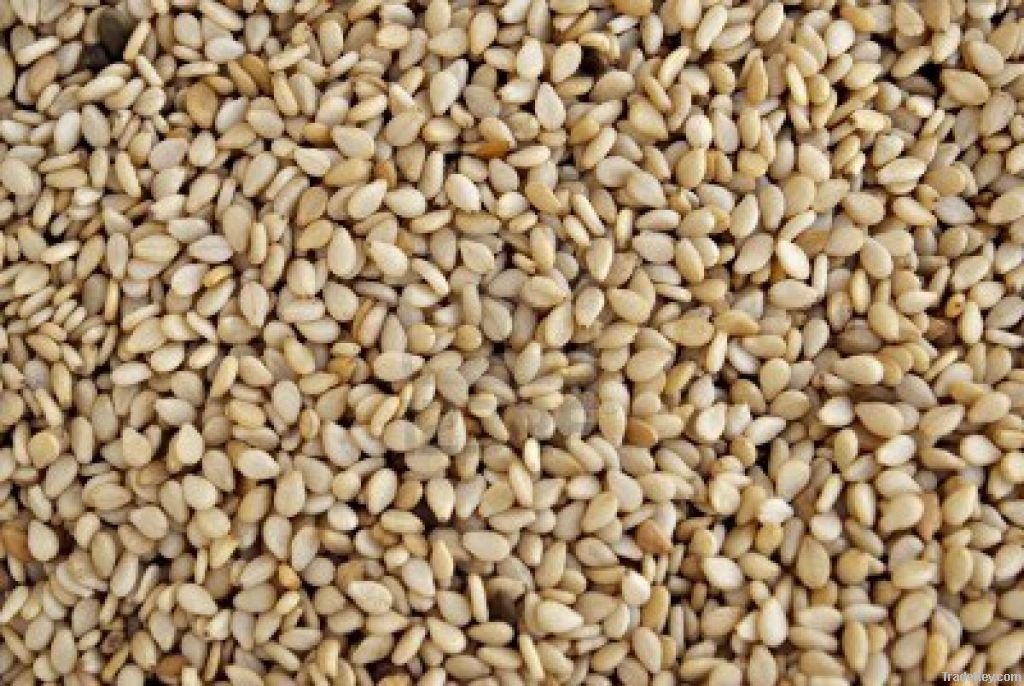 Sesame Seeds