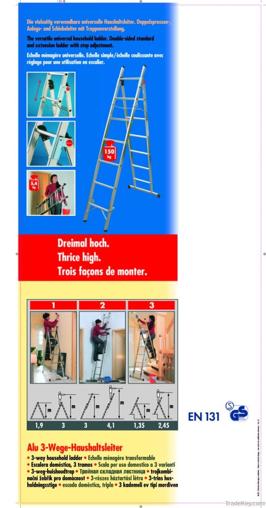 Aluminum Ladder