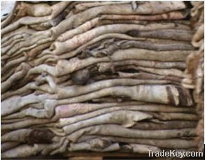 Wet And Dry Salted Cow Hide | Animal Skins