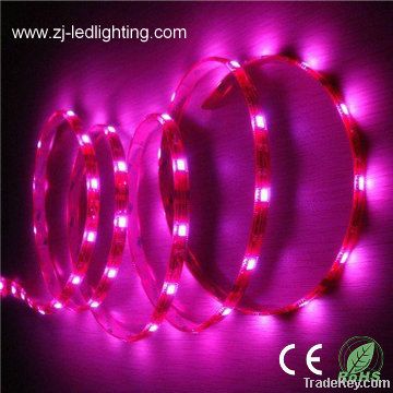 cheap led strip light