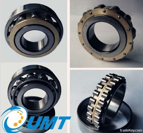 Cylindrical Roller Bearing