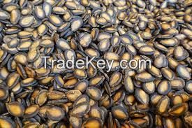 Flax Seeds/Chia Seeds/Sesame Seeds (White and Black)/Black Cumin Seeds/Zegher seed/Cloves(Dried Cloves)/Black Melon Seeds/White Pepper/ Black Pepper/Coriander Seeds/cumin seed/Watermelon Seeds/Castor seeds/Cotton seeds/Alfalfa seeds/Sunflower seeds/Neem s