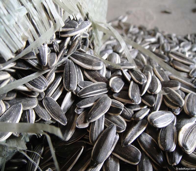 sunflower seeds