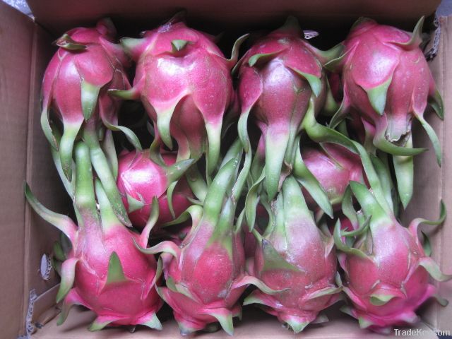 Dragon fruit