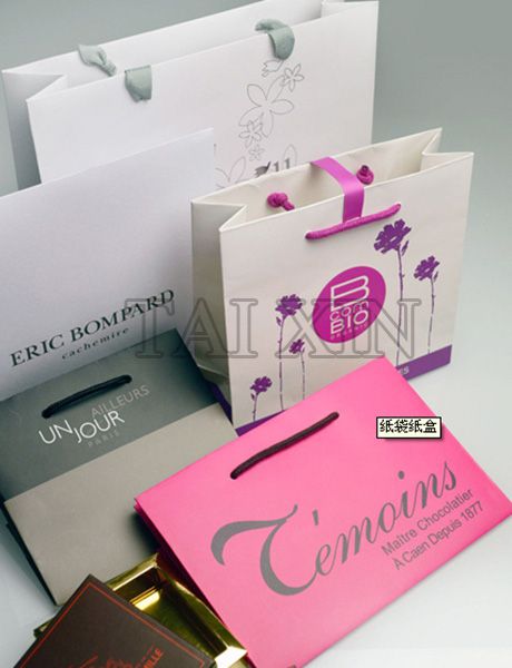 2013 Elegant style and fashionable design packaging paper bag