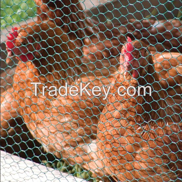 Galvanized Chicken Wire Mesh / Hexagonal Wire Mesh