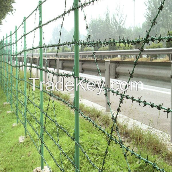 Security Galvanized Barbed Wire for Fence