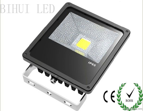 LED Flood light