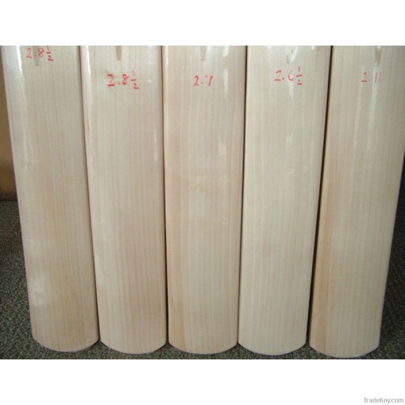 SS TON PLAIN LE CRICKET BAT