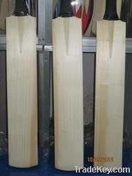 English Willow Cricket Bat