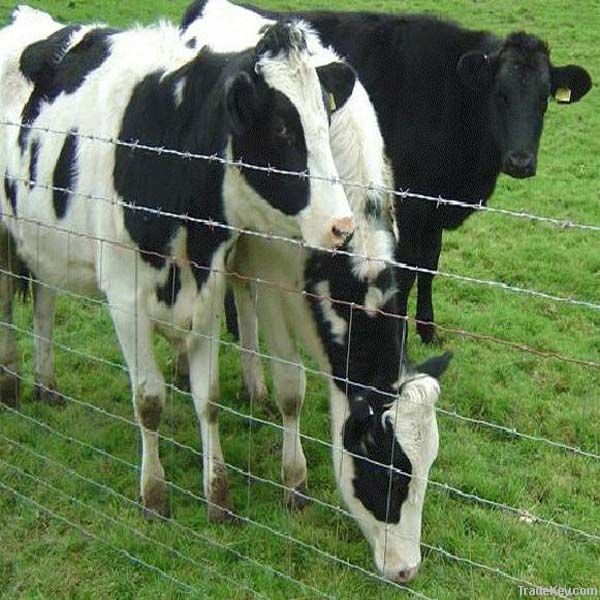 Field fence