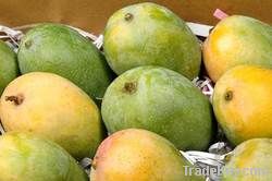 Kesar Mango