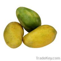 Langda Mango