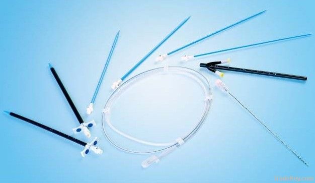 Drainage Catheter