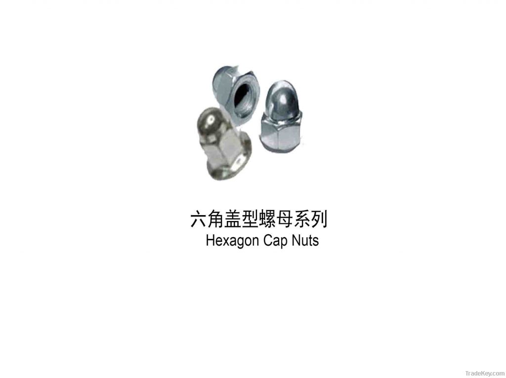 Hexagon Flange Nuts