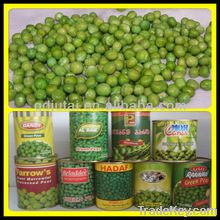 canned sweet corns/canned sweetkernel corns/canned sweet corn kernels