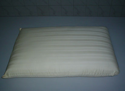 Latex Foam Pillow