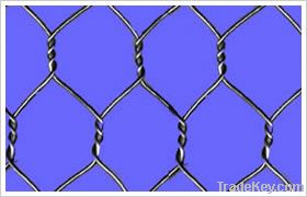 Hexagonal wire mesh