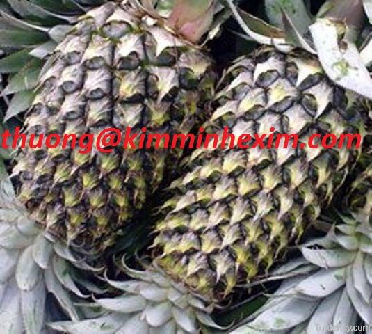 SELL FRESH PINEAPPLES