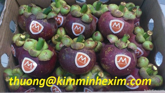 SELL MANGOSTEEN