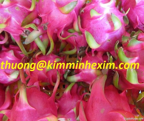 SELL DRAGON FRUITS