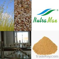 Flaxseed Hull Extract 20%~80%