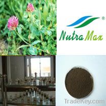 Red Clover Extract 20% Isoflavones