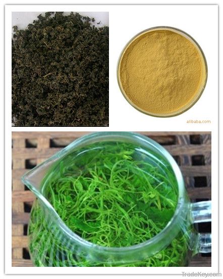 Gynostemma Extract 98% Gypenosides (*****)