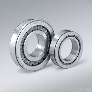 NN3036K/W33 Cylindrical Roller Bearings