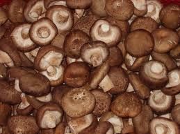 Shiitake Mushroom